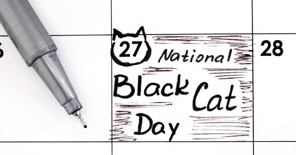 October 27th - National black cat day